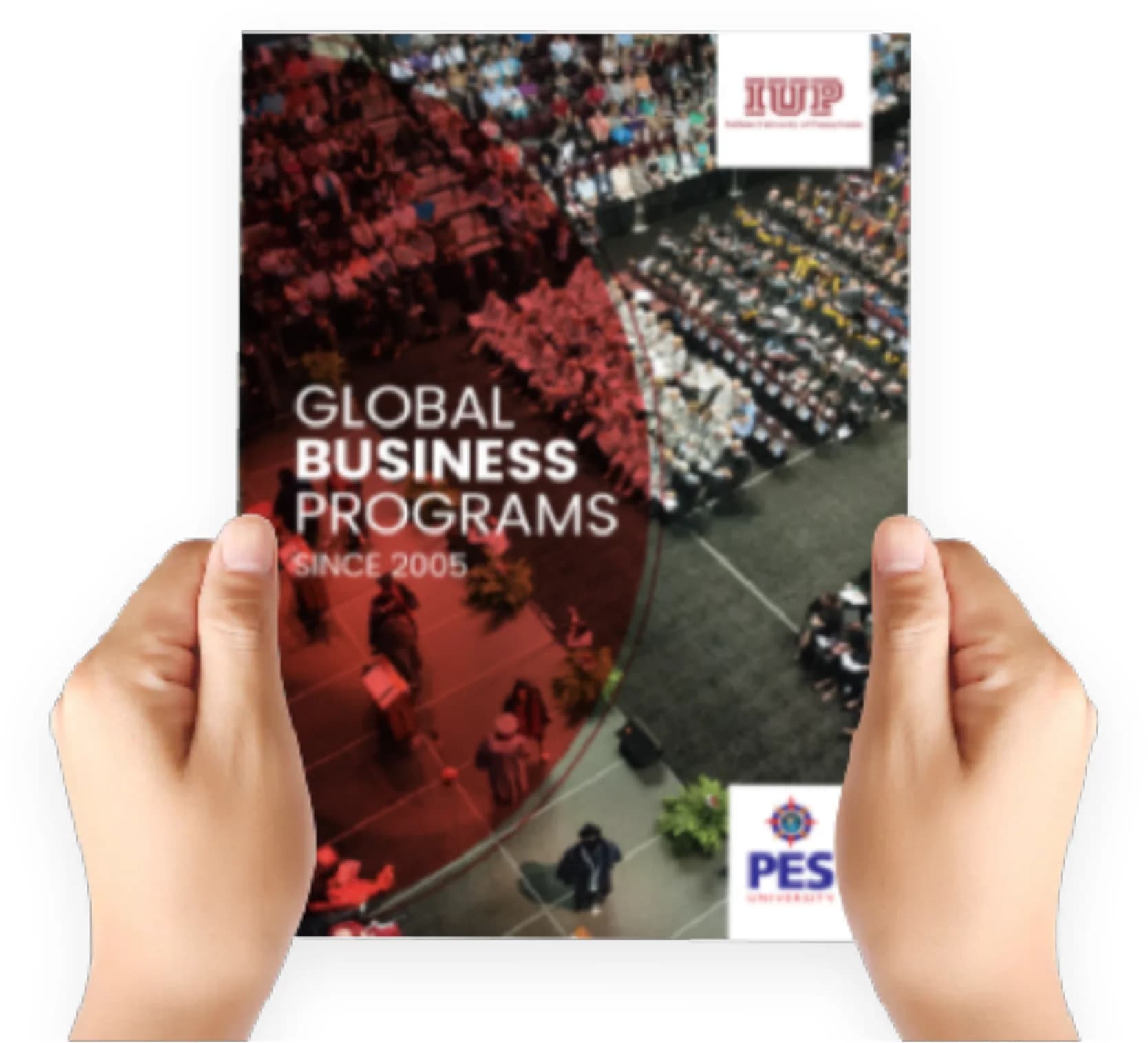 The Global Business Programs brochure held open in two hands