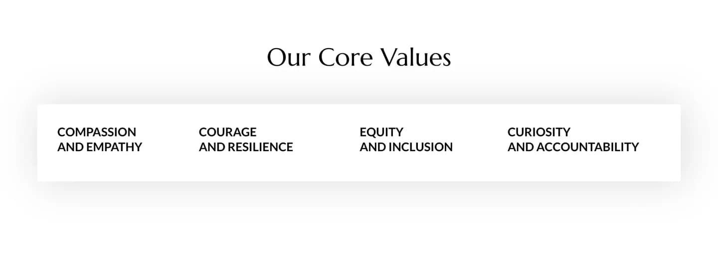 Our Core Values: Compassion and Empathy, Courage and Resilience, Equity and Inclusion, Curiosity and Accountability